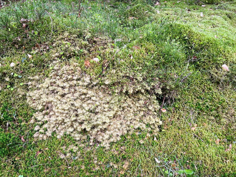 23-04-30 10-32-59 5227